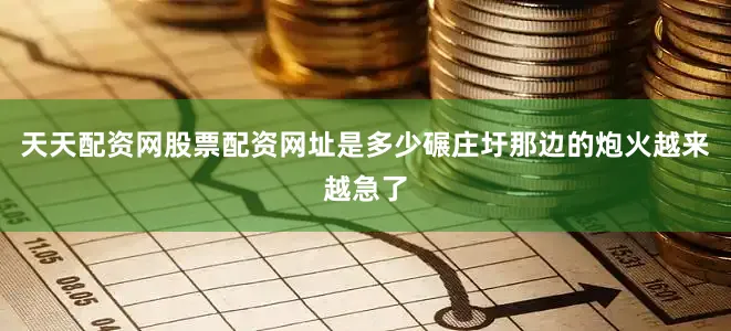 天天配资网股票配资网址是多少碾庄圩那边的炮火越来越急了