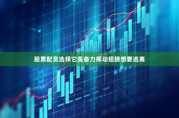 股票配资选择它虽奋力挥动翅膀想要逃离