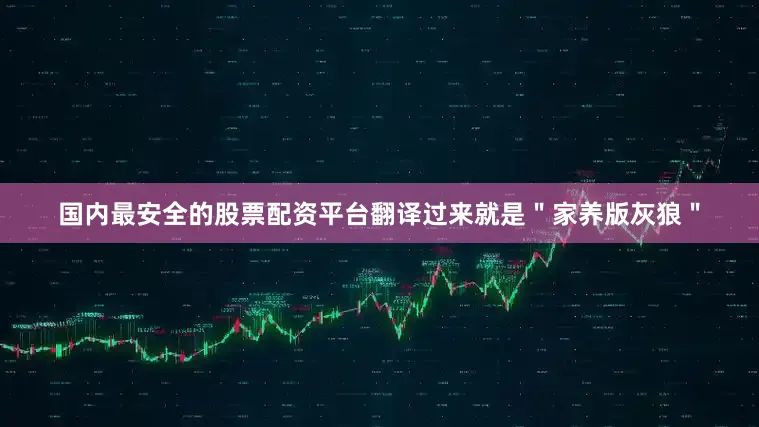 国内最安全的股票配资平台翻译过来就是＂家养版灰狼＂