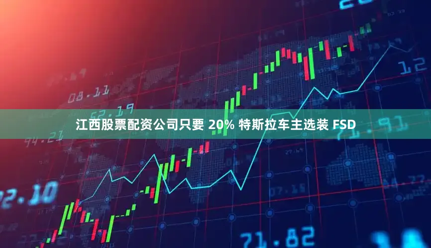 江西股票配资公司只要 20% 特斯拉车主选装 FSD