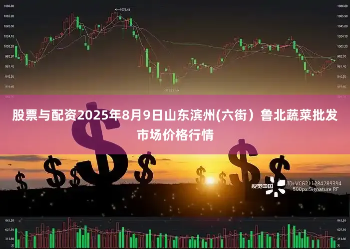 股票与配资2025年8月9日山东滨州(六街)鲁北蔬菜批发市场价格行情