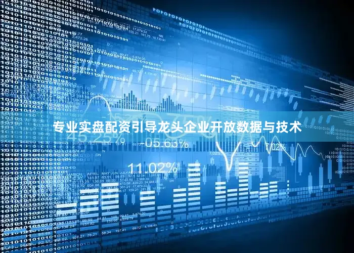 专业实盘配资引导龙头企业开放数据与技术